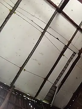 Cherry pusy99 online show from 14, 11, 2025