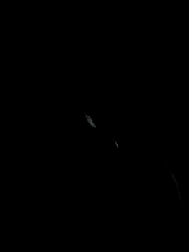 Pikachucums4u online show from 28, 11, 2025