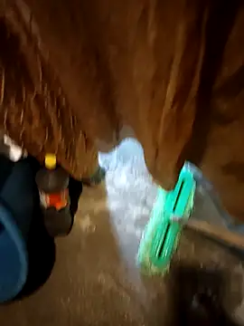 Rayangiss online show from 16, 11, 2025