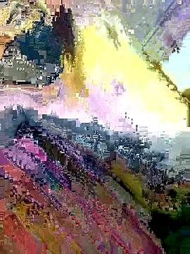 delhi  man 1 online show from 14, 10, 2025