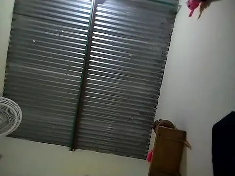 statute t online show from 29, 10, 2025