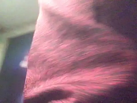 CraveMyCock online show from 13, 1, 2026