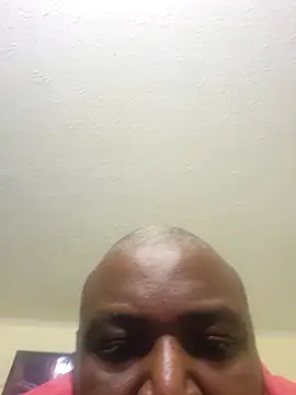 diquemon online show from 4, 12, 2025