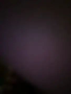 fresh-laD online show from 24, 2, 2026