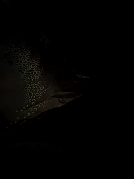 crawlerdrill online show from 24, 5, 2026