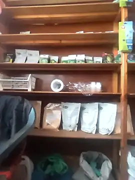 szabi1995 online show from 10, 1, 2026