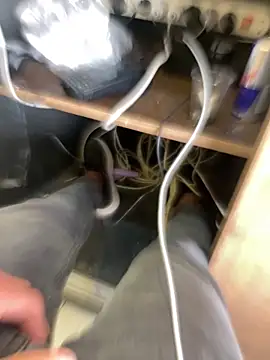 arasazgin online show from 18, 3, 2026