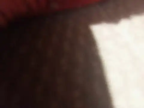 PedroRP69 online show from 21, 4, 2026