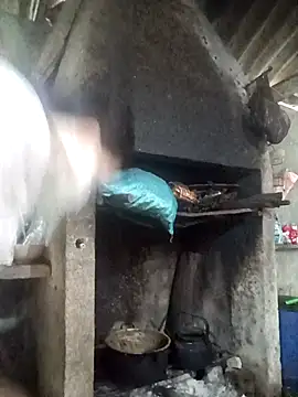 nat-tri online show from 3, 12, 2025