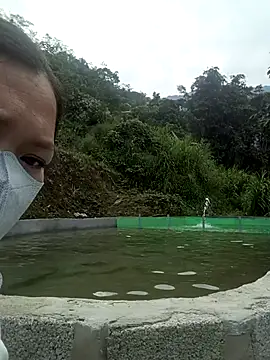 nat-tri online show from 16, 11, 2025