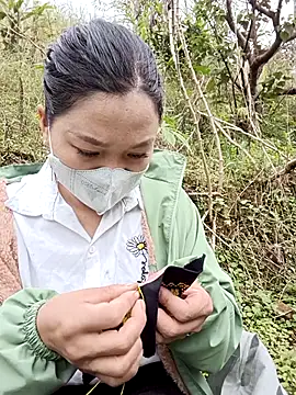 nat-tri online show from 20, 11, 2025