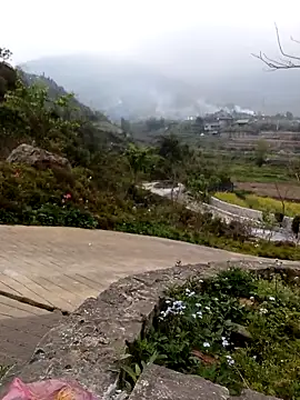 siusiu-00 online show from 3, 3, 2026