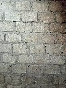 siusiu-00 online show from 12, 3, 2026