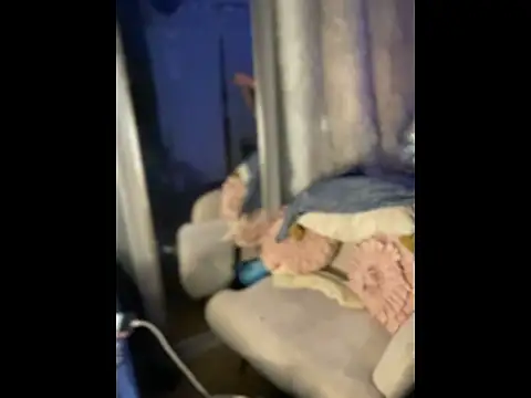 queenkelly1234 online show from 10, 4, 2026