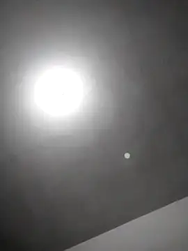 checheludo23 online show from 25, 2, 2026