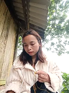 Nguyet2k4 online show from 14, 1, 2026