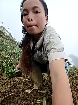 Nguyet2k4 online show from 12, 11, 2025