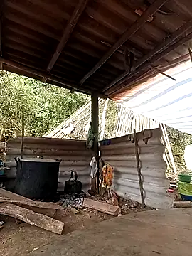 -Kem-01 online show from 26, 2, 2026