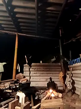 -Kem-01 online show from 15, 3, 2026