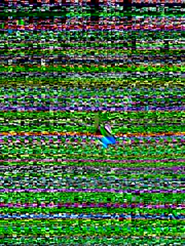 Snapshot of Your_hope77 chatting on 3, 11, 2025 Your hope77 online show from 3, 11, 2025