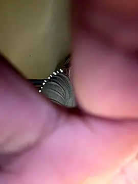 payal mittal online show from 27, 11, 2025