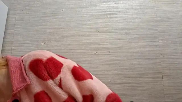 AstraVale online show from 3, 11, 2025