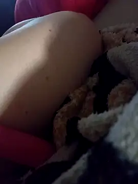 Taradinha pelosogro online show from 10, 3, 2026