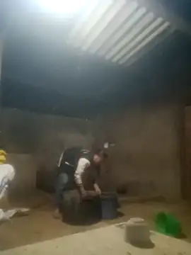 Myzak- online show from 26, 10, 2025