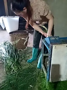 Myzak- online show from 11, 2, 2026