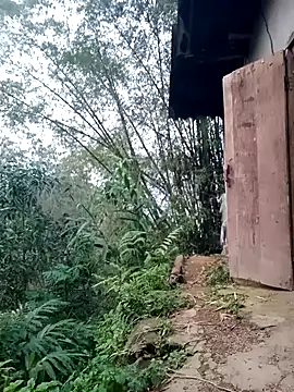 Myzak- online show from 26, 3, 2026