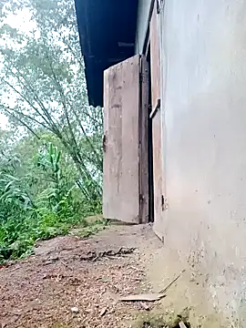 Myzak- online show from 17, 3, 2026