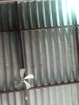 Rajni chauhan online show from 6, 11, 2025