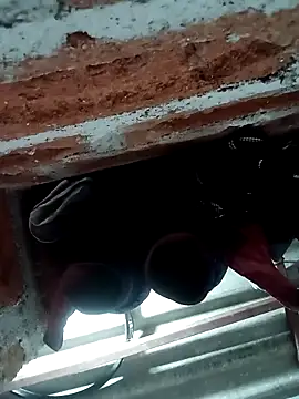 Rajni chauhan online show from 5, 11, 2025