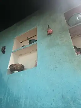 Ragni bhargav online show from 1, 12, 2025