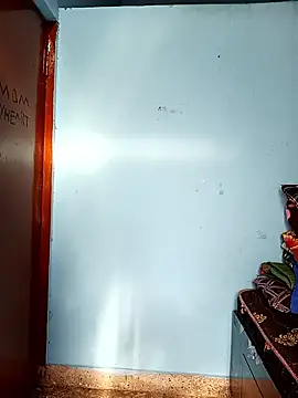 Deepa telugu online show from 17, 4, 2026