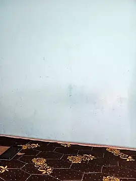 Deepa telugu online show from 4, 3, 2026