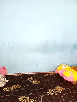 Deepa telugu online show from 21, 4, 2026