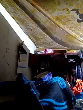 Cogelonregio online show from 18, 10, 2025