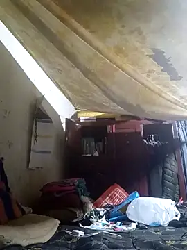 Cogelonregio online show from 2, 4, 2026