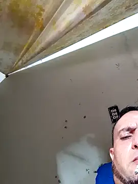 Cogelonregio online show from 22, 10, 2025