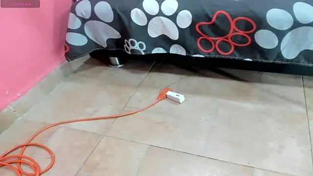 wild-cat-hot online show from 9, 11, 2025