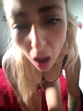 catalella16 online show from 2, 2, 2026