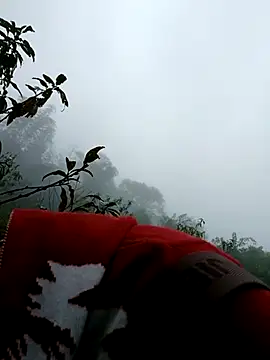 omai-ngot online show from 9, 11, 2025