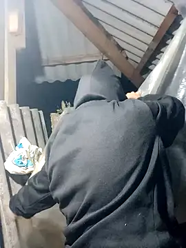 Snapshot of nui-show chatting on 15, 11, 2025 nui-show online show from 15, 11, 2025