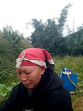 Snapshot of nui-show chatting on 22, 11, 2025 nui-show online show from 22, 11, 2025