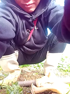 Snapshot of nui-show chatting on 16, 11, 2025 nui-show online show from 16, 11, 2025