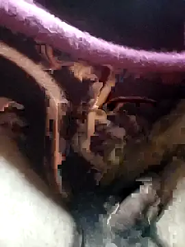 Soumyajit129ommk online show from 4, 12, 2025