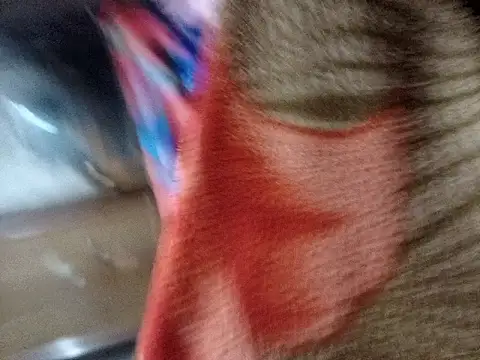 Soumyajit129ommk online show from 7, 3, 2026