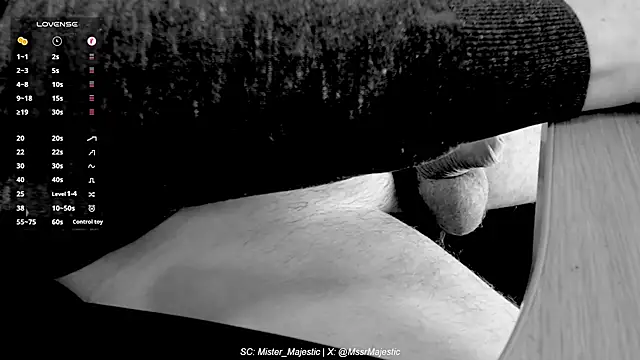 Mister Majestic online show from 19, 11, 2025