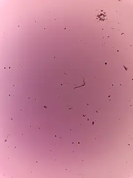 Snapshot of Shikha_mehra chatting on 16, 10, 2025 Shikha mehra online show from 16, 10, 2025